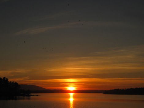 Solnedgång över fjällen sedd från Tivars Gård på Norderön